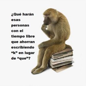 Normas básicas del buen internauta