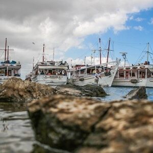 Sigue la destrucción de la isla: Cobro exorbitante del combustible y la burocracia está “matando a la pesca de altura” en Nueva Esparta
