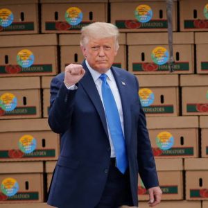 Ex Presidente Trump pide a un juez federal obligar a Twitter a devolverle su cuenta