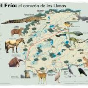 Opinión: Hato El Frío, Por Yolaiza Boada