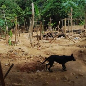 El Callao Tierra de crímenes: Dantesco hallazgo en el Estado Bolívar