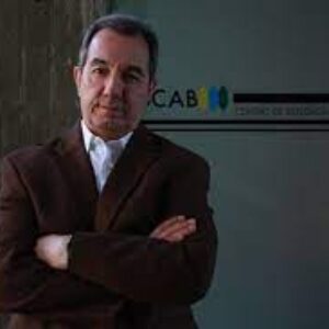 En serio: PolítiKa UCAB asegura que la intensión de votar por la MUD sigue en crecimiento