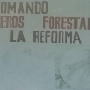 Amazonas: El estado indígena de Venezuela donde se discrimina a los pueblos originarios