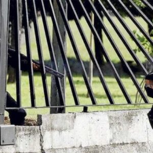 Seguirá preso el asesino: Corte de Apelaciones de Caracas ordena nuevo juicio por homicidio de David Vallenilla