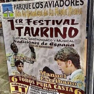 Maracay: Tarek William Saab suspende evento taurino calificándolo de «matanza pública»