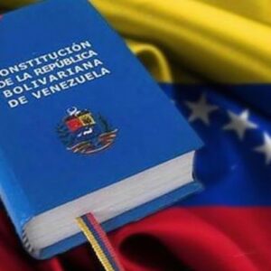 Opinión: ¿Acaso es necesario cambiar la Constitución?  Por Fernando Vegas T.