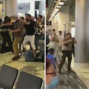 Al mejor estilo latinoamericano: Vuelo retrasado provoca violenta pelea en el Aeropuerto Internacional de Miami