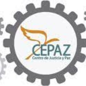 Cepaz: ¿Qué podemos esperar de la CPI?