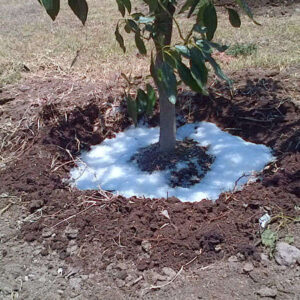¡El invento MEXICANO de Agua en polvo podría combatir sequías en todo el planeta!