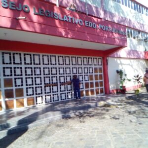 Opinión: La Antena del Cono Sur, Por Grossman Parra  Pinto