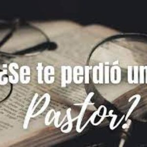 ¿Se te perdió el Pastor?, Por Flied Ezeiza