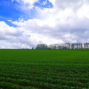 Opinión: La fortaleza del régimen rojo rojito es la debilidad de la dirigencia opositora, Por Argenis Angulo