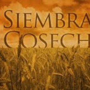 Opinión Del Discurso Político: Dios y su Plan de Siembra para Venezuela, Por José Cándido Viloria