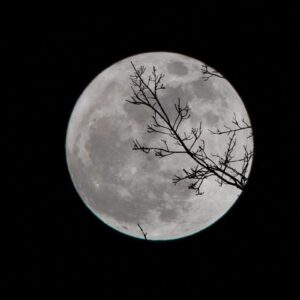 Estos científicos planean construir un Arca de Noé en la Luna