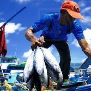 14 de marzo: Día del Pescador Artesanal Venezolano