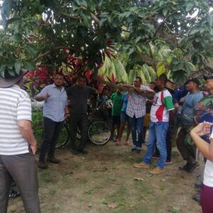 Gobierno de Mérida a través de la Secretaria Territorial del Eje Panamericano atendió falla en el puente de Muyapa.