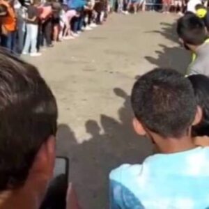 Maltrato animal: Insólita carrera de gatos que denuncian defensores de animales en Barinas Ver Vídeo