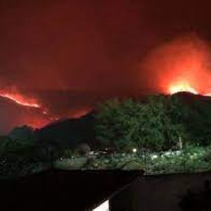 Aragua: Logran controlar incendio en el Parque Henri Pittier