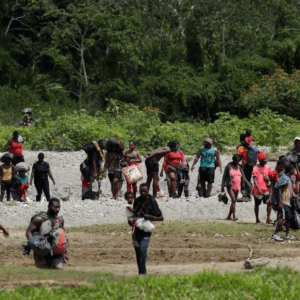 Morir en la selva Por Soc. Ender Arenas Barrios