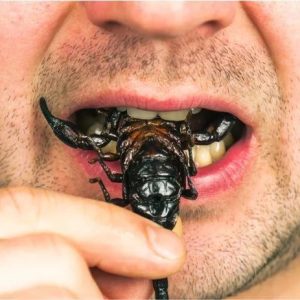 En el futuro: Comer insectos, la solución a la crisis alimentaria y medioambiental del planeta