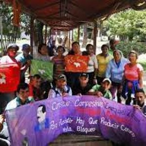 Guárico: En Los Tramojos se dirime el futuro de la Ley de Tierras y Ley del TSJ