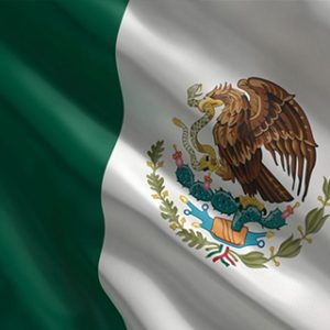 La columna de Andres Oppenheimer: México, Brasil, Argentina son demasiado blandos con Rusia