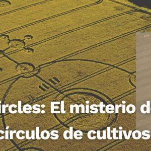 Crop Circles: El misterio detrás de los círculos de cultivos (Video)