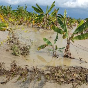 Antes del decreto de Alerta Máxima del ejecutivo regional, Gobernación del Zulia atiende situación de Emergencia en Sucre.