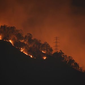 El Ávila: Se quema el pulmón vegetal de la Gran Caracas