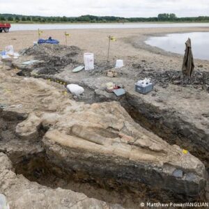 Los restos de un ictiosaurio han sido descubiertos en Rutland, Inglaterra.