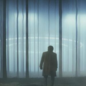 Noticias sobre Aliens: Debido a que todos están atrapados o muertos, los extraterrestres nunca han visitado la Tierra