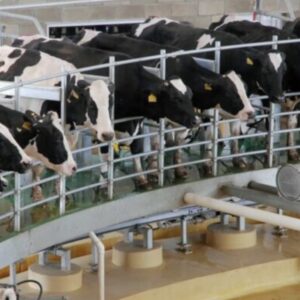 Suministro de leche se ha interrumpido en al menos cuatro plantas debido a las lluvias informa Cavilac
