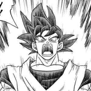 Manga 85 Dragon Ball Super (Completo en español)
