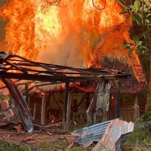 ¡Ultima Hora! FANB destruye estructura Tancol con armamento, municiones y explosivos en zona fronteriza de Apure