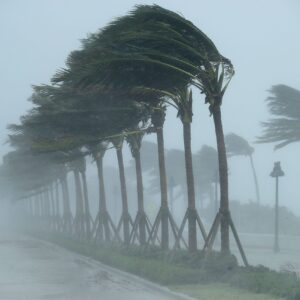 Tormenta Fiona sin peligro por ahora para Florida: Antillas menores bajo alerta.