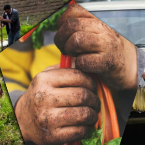Grave: El trabajo infantil en Venezuela invisibilizado por falta de datos