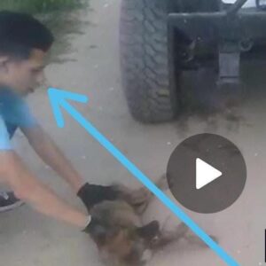 Última hora: Se buscan a estos peligrosos psicópatas (Video)