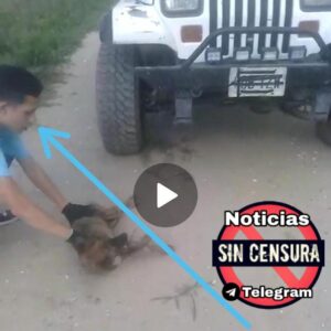 SE BUSCAN VIVOS ESTOS DOS PSICÓPATAS Vea vídeo (Imágenes fuertes, no apto para personas sensibles)