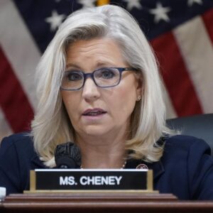 Estados Unidos: Cheney se prepara para la derrota mientras Trump prueba en Wyoming y Alaska