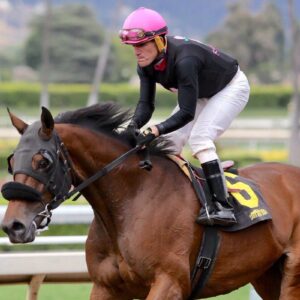 Belterra Park: Santiago González sufre aparatosa rodada en la sexta carrera