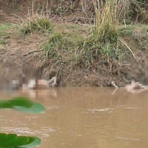 Ya son 8 cadáveres hallados en las trochas venezolanas que no han sido identificados