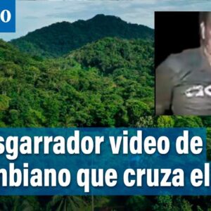 ¡Impactante! Desgarrador video del Diario El Tiempo: Colombiano que cruza el Darién para ir a Estados Unidos