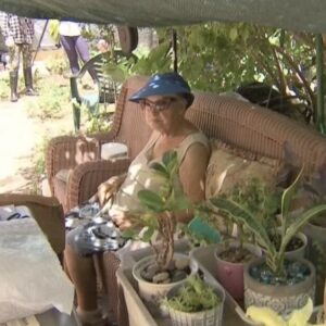 Crisis de vivienda: Anciana de 75 años y su hija viven en una calle de Miami tras aumento de casi un 50% en su alquiler