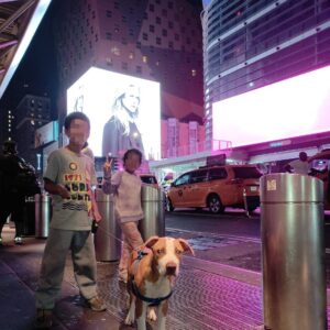 Travesía canina: MAX LA MASCOTA que migró