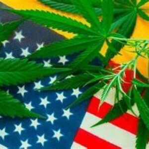 Presidente Biden perdona a miles de personas condenadas por posesión de marihuana en virtud de la ley federal
