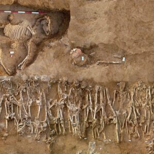Entérese del mayor secreto de la antigua Grecia, hallado en 54 cadáveres