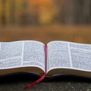 PALABRA DE DIOS | Evangelio de este martes 15 de noviembre