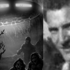 Encuentro OVNI con extraterrestres (+Video exclusivo de Don Shrum)