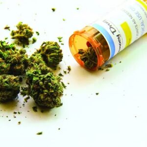 Portal USATODAY plantea: Cambiar la prohibición federal del consumo de marihuana causa más daño que bien