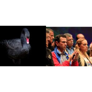Caiga Quien Caiga Por Angel Monagas: Cisne Negro y crisis opositora
